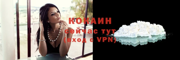не бодяженный Ельня