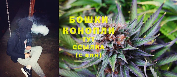 гидропоника Елизово
