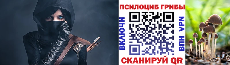 как найти закладки  Казань  Псилоцибиновые грибы Magic Shrooms 