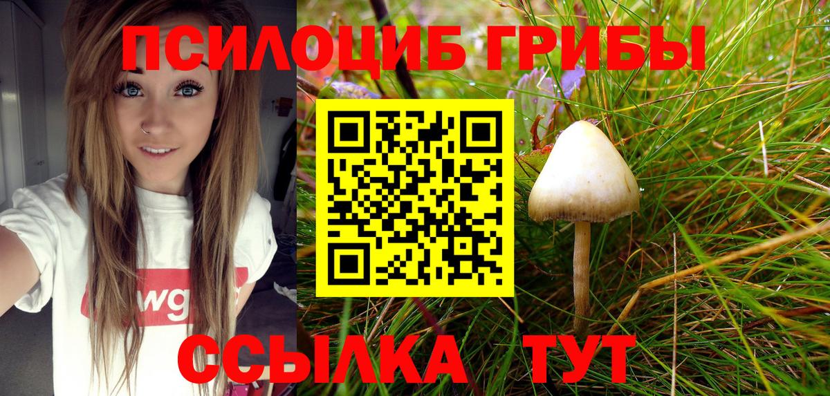 Галлюциногенные грибы Psilocybe  Псилоцибиновые грибы Cubensis  дарнет шоп  Вход с VPN  Казань 
