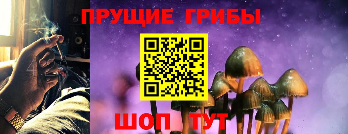 Псилоцибиновые грибы Cubensis Казань